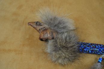 Bird Peace pipe